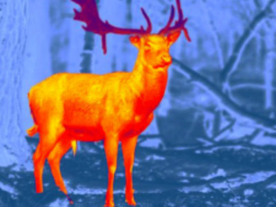 What Role Does Thermal Imaging Play in Recreational Market Segments Such As Hunting and Wildlife Viewing?