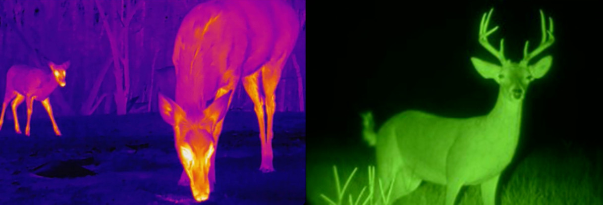 What Is the Difference Between Thermal Imaging and Infrared Imaging ...